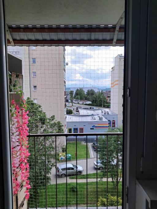 Apartament Na 4 Pietrze نوفه تارخ المظهر الخارجي الصورة