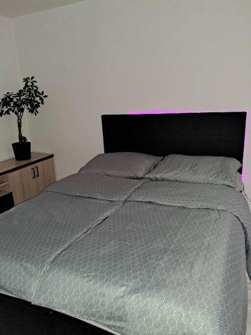 Apartament Na 4 Pietrze نوفه تارخ المظهر الخارجي الصورة