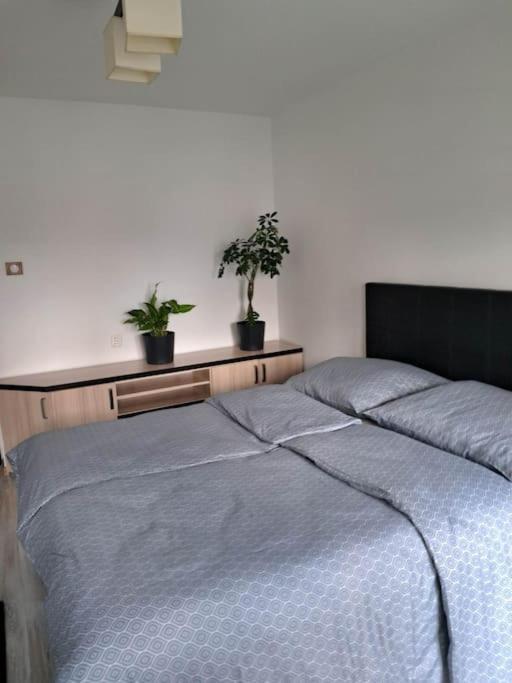 Apartament Na 4 Pietrze نوفه تارخ المظهر الخارجي الصورة